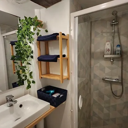 Apartamento T4 Authentique Toulousain Fully Equiped- 3bed 5person Hypercentre *